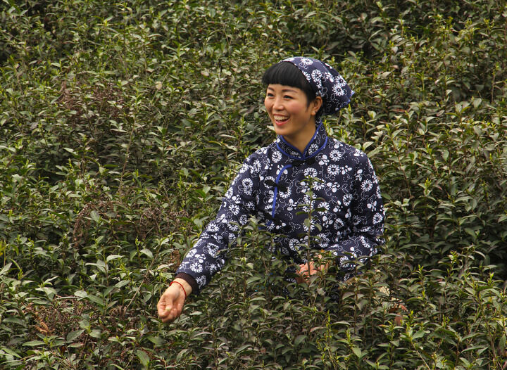 情欲侦探